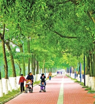 林蔭路—河濱路.jpg