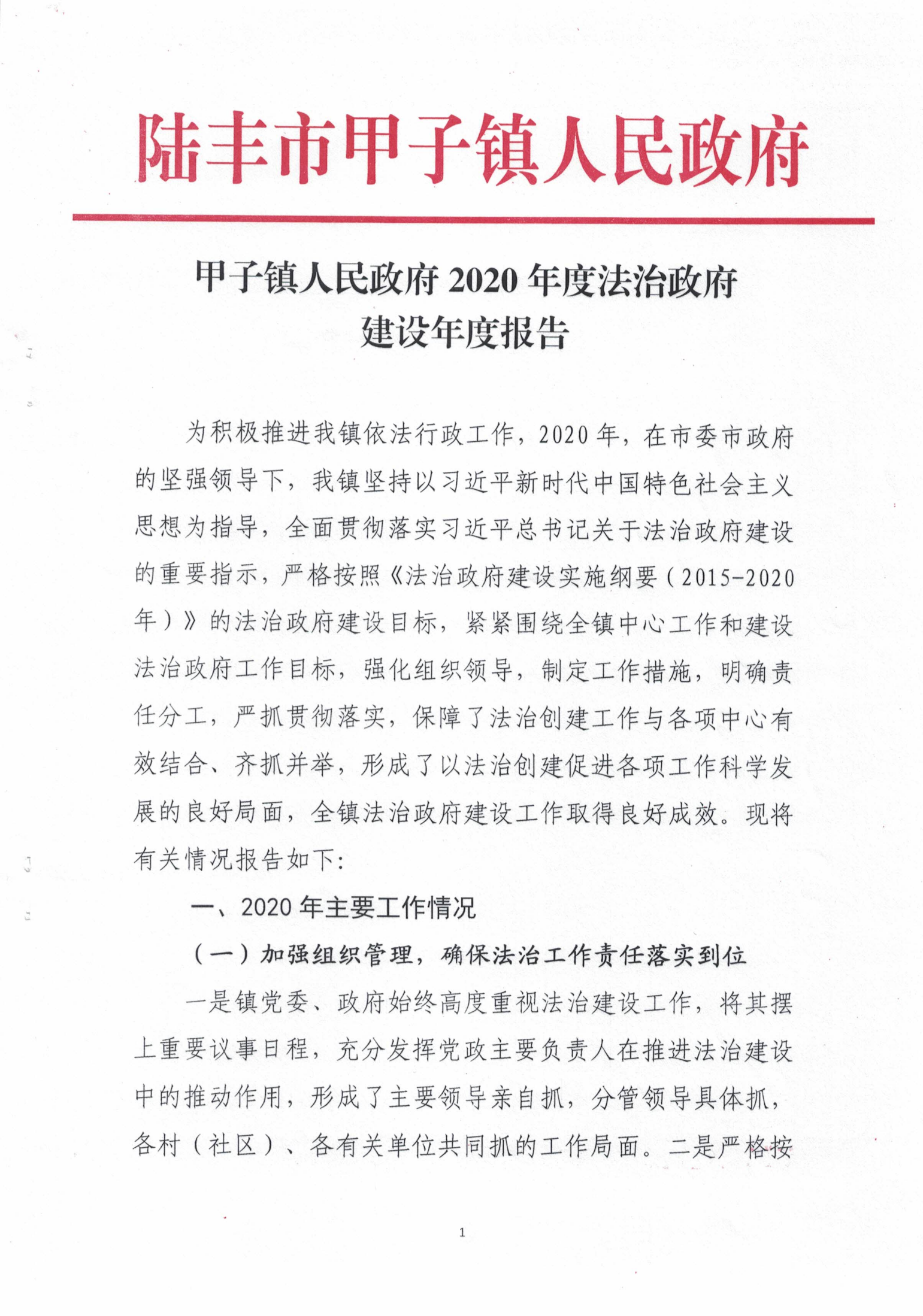 甲子鎮(zhèn)人民政府2020年度法治政府建設(shè)年度報告_00.png